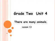 Unit 4 Lesson 13   课件