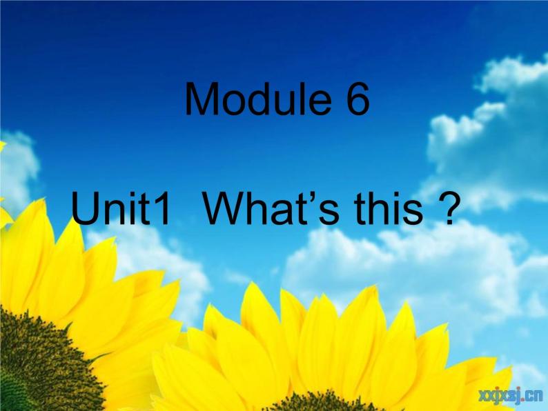 一年级上外研版（一起）一上Module 6《Unit 1 What’s this》ppt课件205