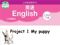 译林版三年级英语上册Project 2 A puppet show Part A， B， C & D（1）课件