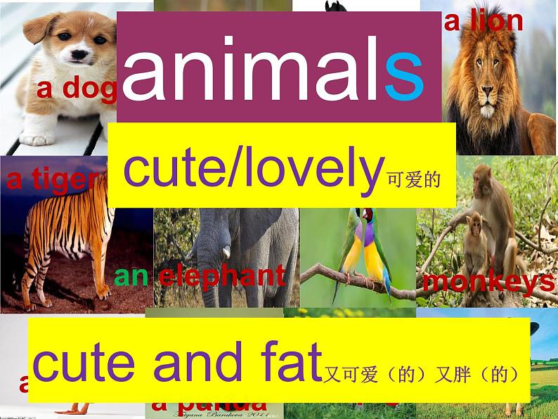 牛津译林版四年级英语上册-Unit 1 I like dogs(Story time) 课件03