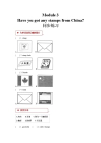 外研版 (一年级起点)六年级上册Unit 1 Have you got any stamps from China?同步测试题