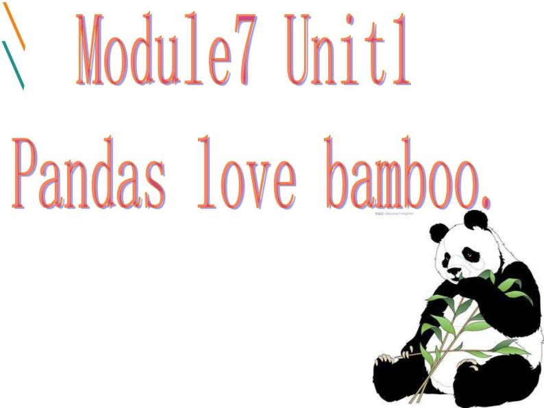 外研版（一起）六上Module 7《Unit 1 Pandas love bamboo》ppt课件104