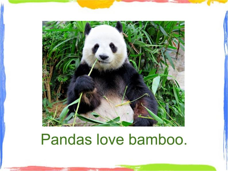Module 7 Unit 1 Pandas love bamboo 课件03