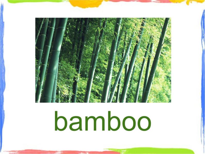 Module 7 Unit 1 Pandas love bamboo 课件04