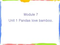 Module 7 Unit 1 Pandas love bamboo课件