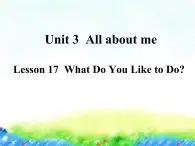 Lesson 17 What Do You Like to Do课件PPT