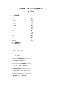 外研版 (一年级起点)一年级上册Unit 2 It's a yellow cat巩固练习