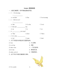 小学英语外研版 (一年级起点)一年级上册Module 4模块综合与测试课时训练