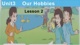 Unit 3 Our hobbies Lesson2课件PPT