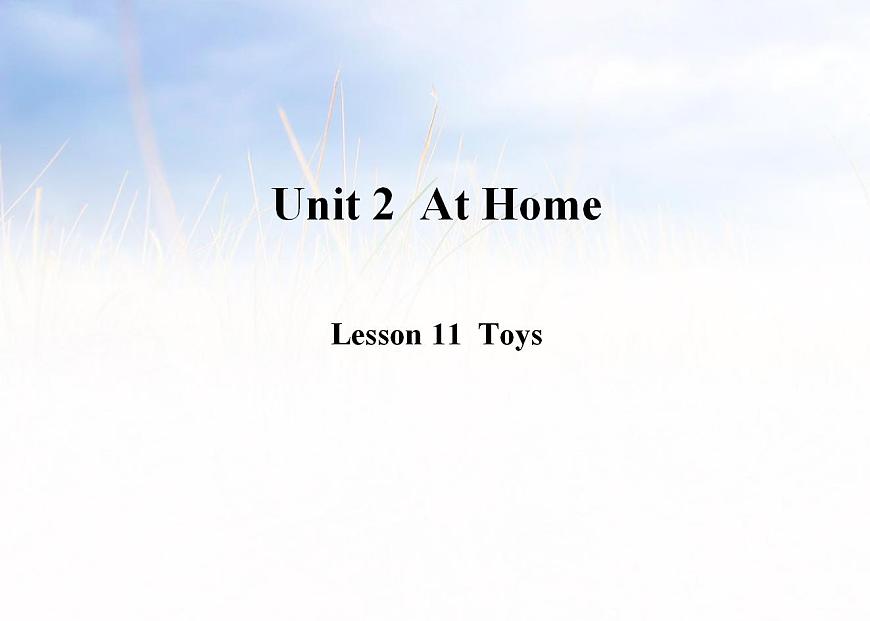 Lesson 11  Toys課件PPT第1頁(yè)
