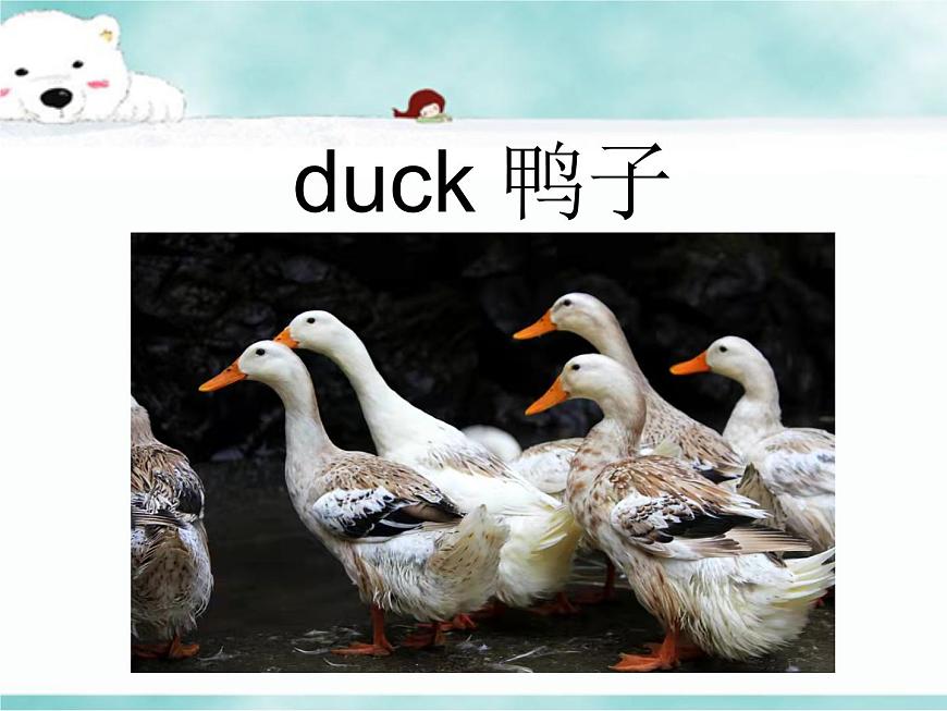 8《Lesson?H?What’s?Your?Name?》教學(xué)課件第6頁