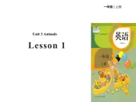 人教版（新起点）一年级英语上册Unit 3 Animals lesson 1 课件