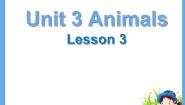 2021学年Lesson 3课文内容课件ppt
