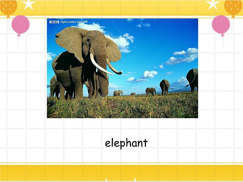 教科版六年级下册英语Unit 3《What animal is it》课件+教案+练习08