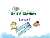 Unit 6 Clothes Lesson 1 课件3