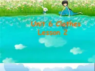 Unit 6 Clothes Lesson 2 课件 2