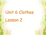 Unit 6 Clothes Lesson 2 课件3