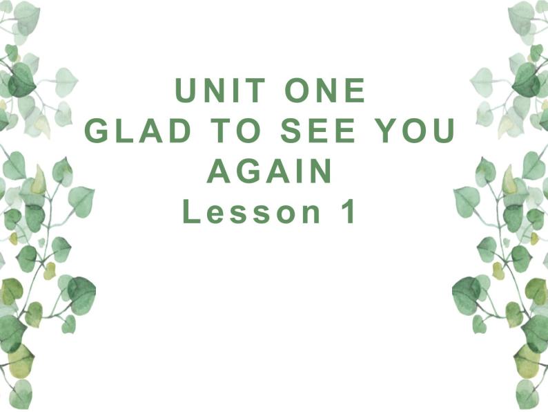 Unit 1 Glad to see you again Lesson 1 课件01