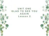 Unit 1 Glad to see you again Lesson 2 课件