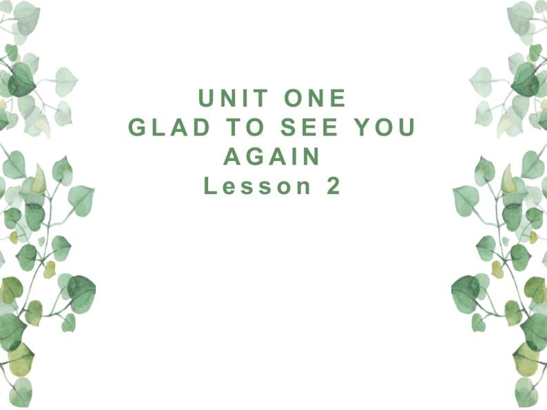 Unit 1 Glad to see you again Lesson 2 课件01