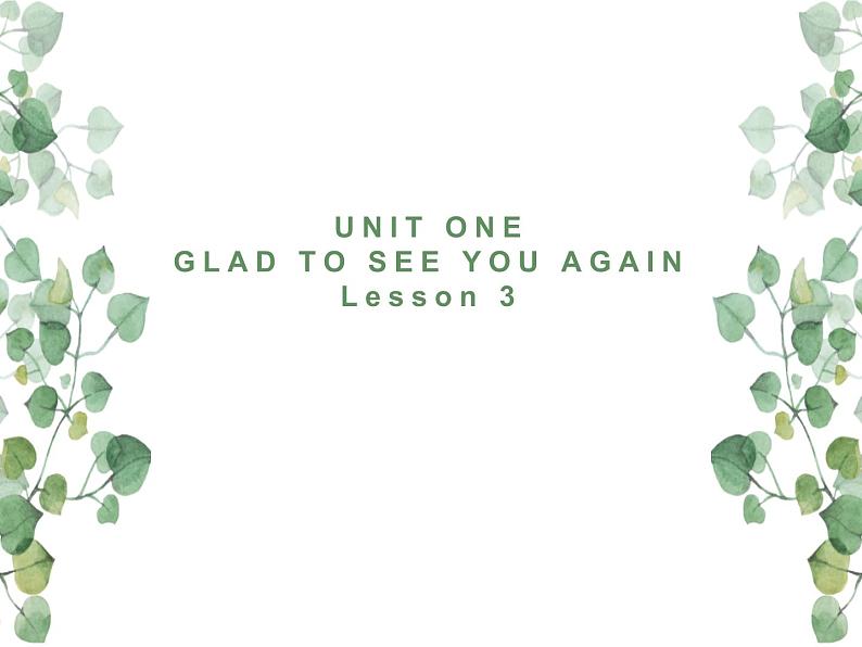 Unit 1 Glad to see you again Lesson 3 课件01