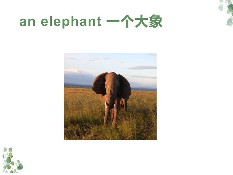 Unit 1 Glad to see you again Lesson 3 课件08