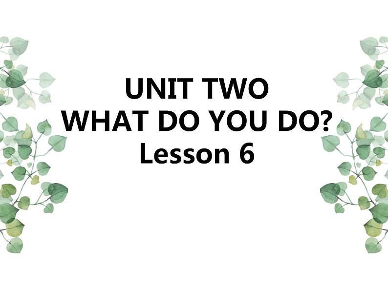 Unit 2 What do you do Lesson 6 课件01