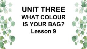 小学英语北京版一年级下册Unit 3 What colour is your bag?Lesson 9完美版ppt课件