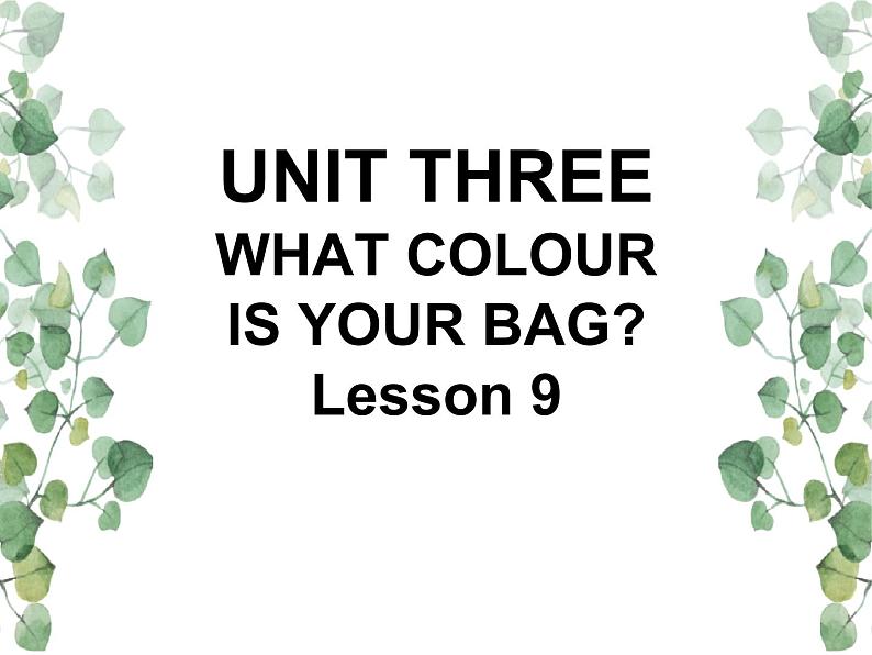 UNIT THREE WHAT COLOUR IS YOUR BAG Lesson 9 课件第1页