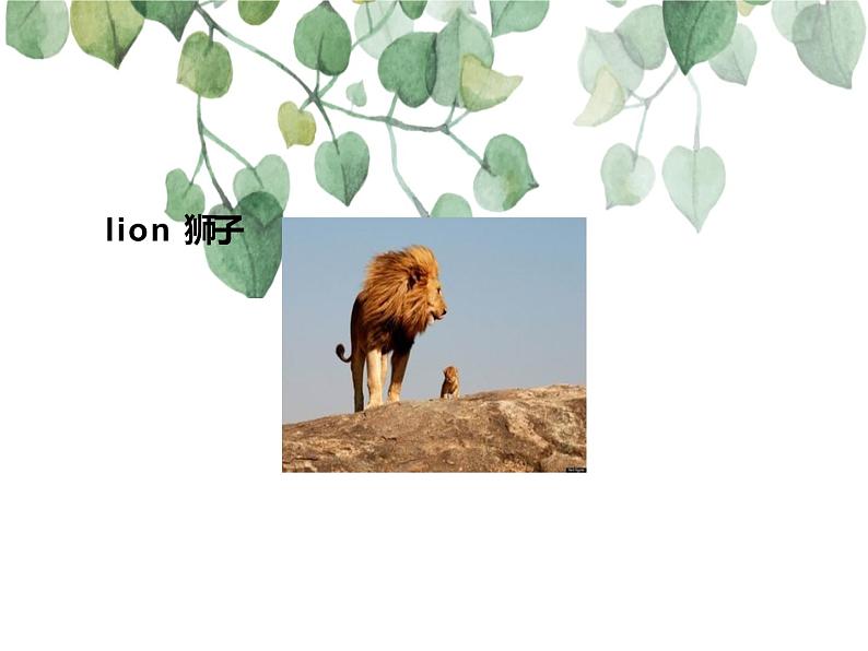 UNIT THREE WHAT COLOUR IS YOUR BAG Lesson 9 课件第6页