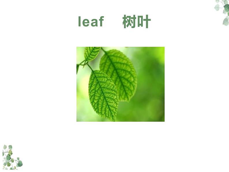 UNIT THREE WHAT COLOUR IS YOUR BAG Lesson 9 课件第7页