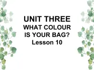 Unit 3 What colour is your bag Lesson 10 课件