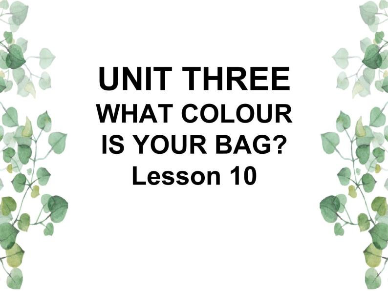 Unit 3 What colour is your bag Lesson 10 课件01