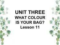 Unit 3 What colour is your bag Lesson 11 课件