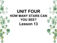 Unit 4 How many stars can you see Lesson 13 课件