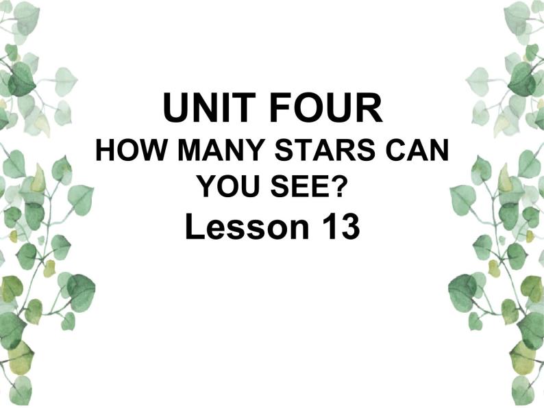 Unit 4 How many stars can you see Lesson 13 课件01