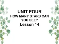 Unit 4 How many stars can you see Lesson 14 课件