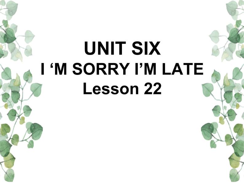 Unit 6  I’m sorry I’m late Lesson 22 课件101