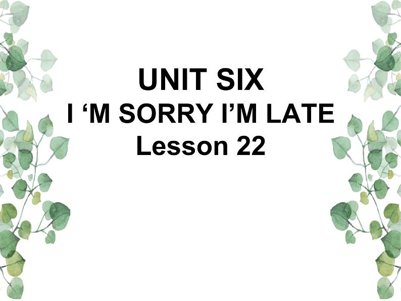 Unit 6 I’m sorry I’m late Lesson 22 课件1第1页