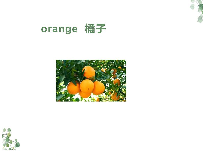 Unit 6 I’m sorry I’m late Lesson 22 课件1第4页