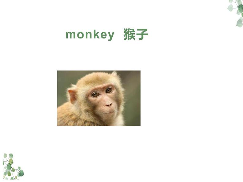 Unit 6 I’m sorry I’m late Lesson 22 课件1第6页
