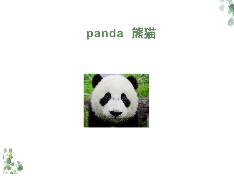 Unit 6 I’m sorry I’m late Lesson 22 课件1第7页