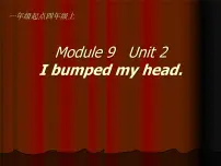 小学英语外研版 (一年级起点)四年级上册Module 9Unit 2 I bumped my head.课文课件ppt