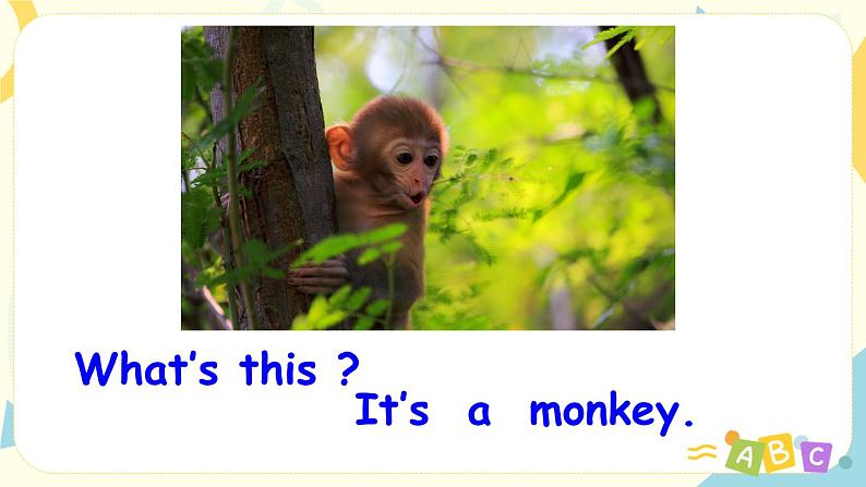 Unit 3 At the zoo 人教版PEP英语三下 第二课时 课件+教案+练习03