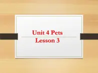 人教版（新起点）三年级英语上册Unit 4 Lesson 3  PPT课件