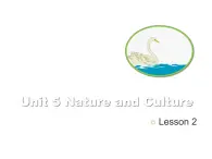 Unit 5 Nature and Culture Lesson2课件 (1)