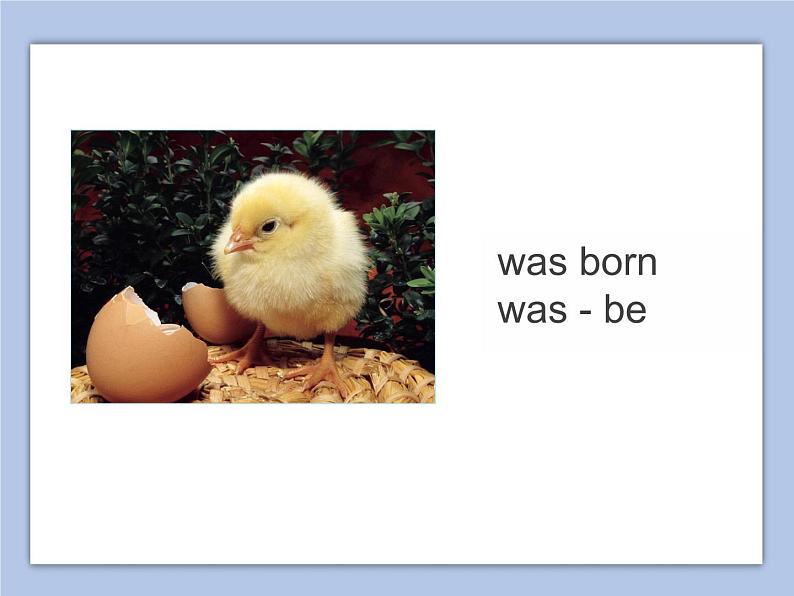 Unit 6 Growing Up Lesson 1 课件 1第5页