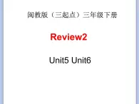 閩教版（三起點(diǎn)）三年級(jí)下冊(cè)英語(yǔ)Review 2 課件+教案+練習(xí)