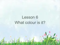 接力版小學(xué)英語三年級下冊 Lesson6 What colour is it？課件