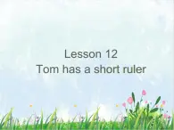 接力版小学英语三年级下册 Lesson12 Tom has a short ruler.课件